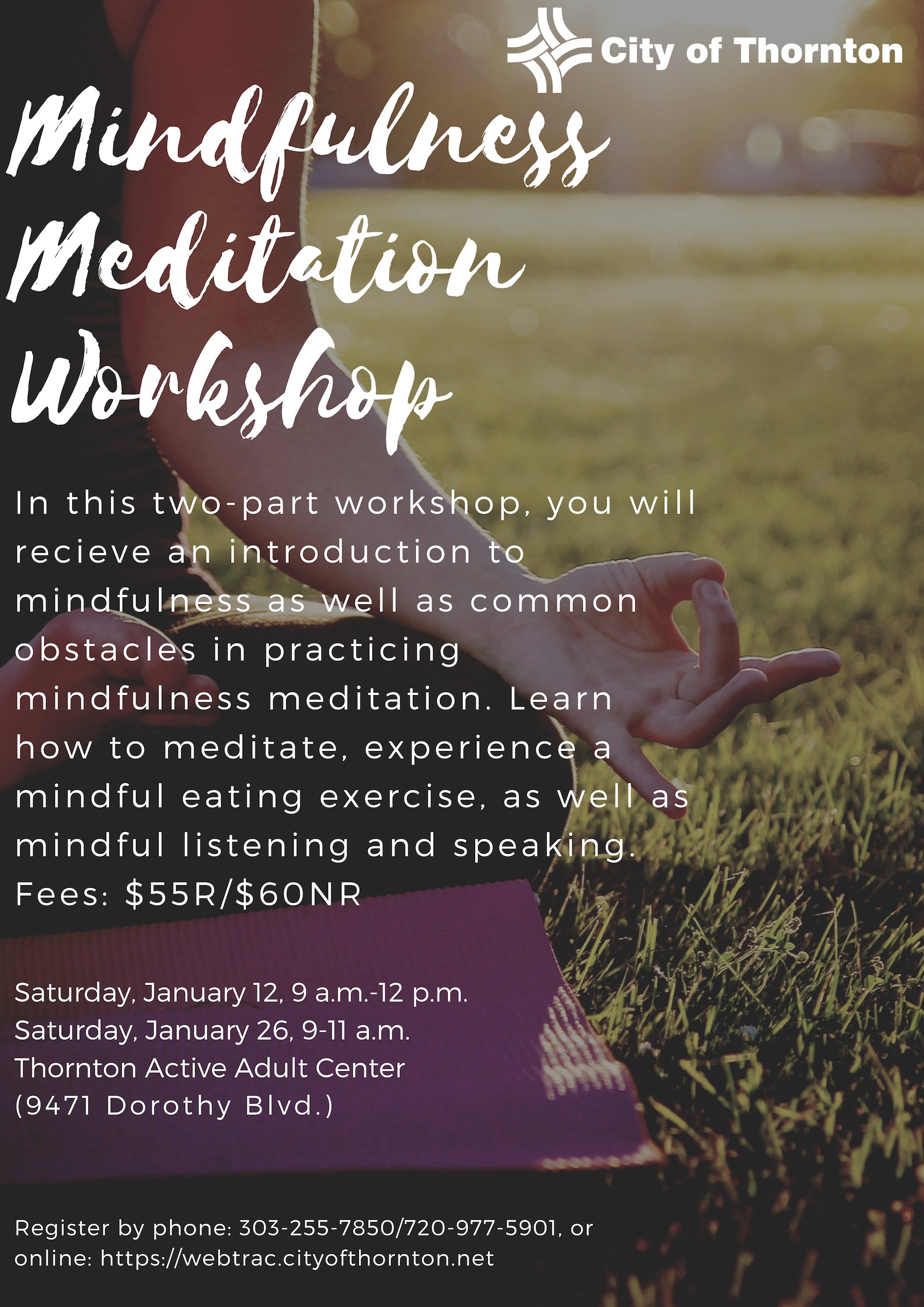 Mindfulness Workshop.jpg