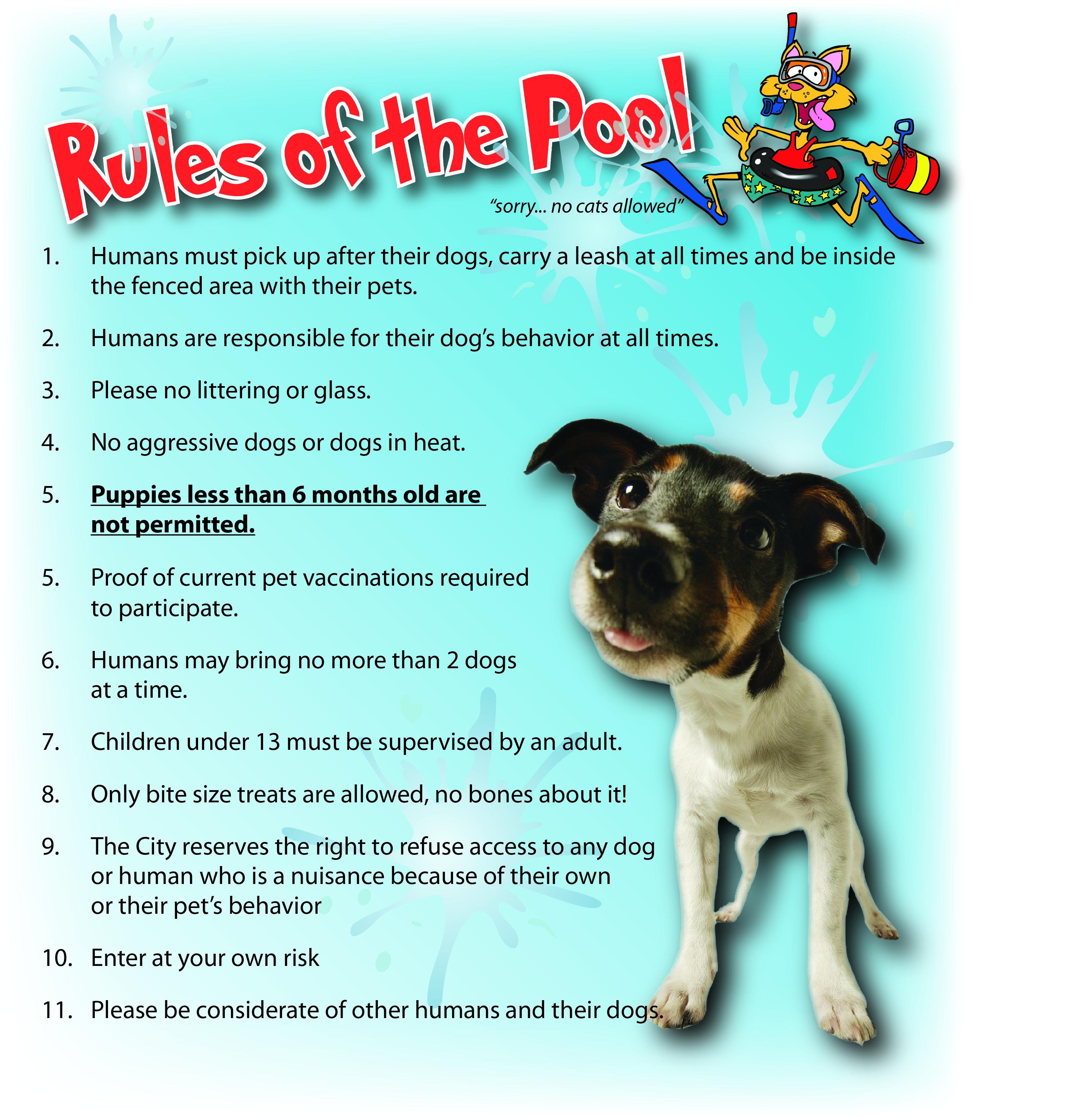 rules web page.jpg