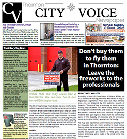 City Voice Current Edition